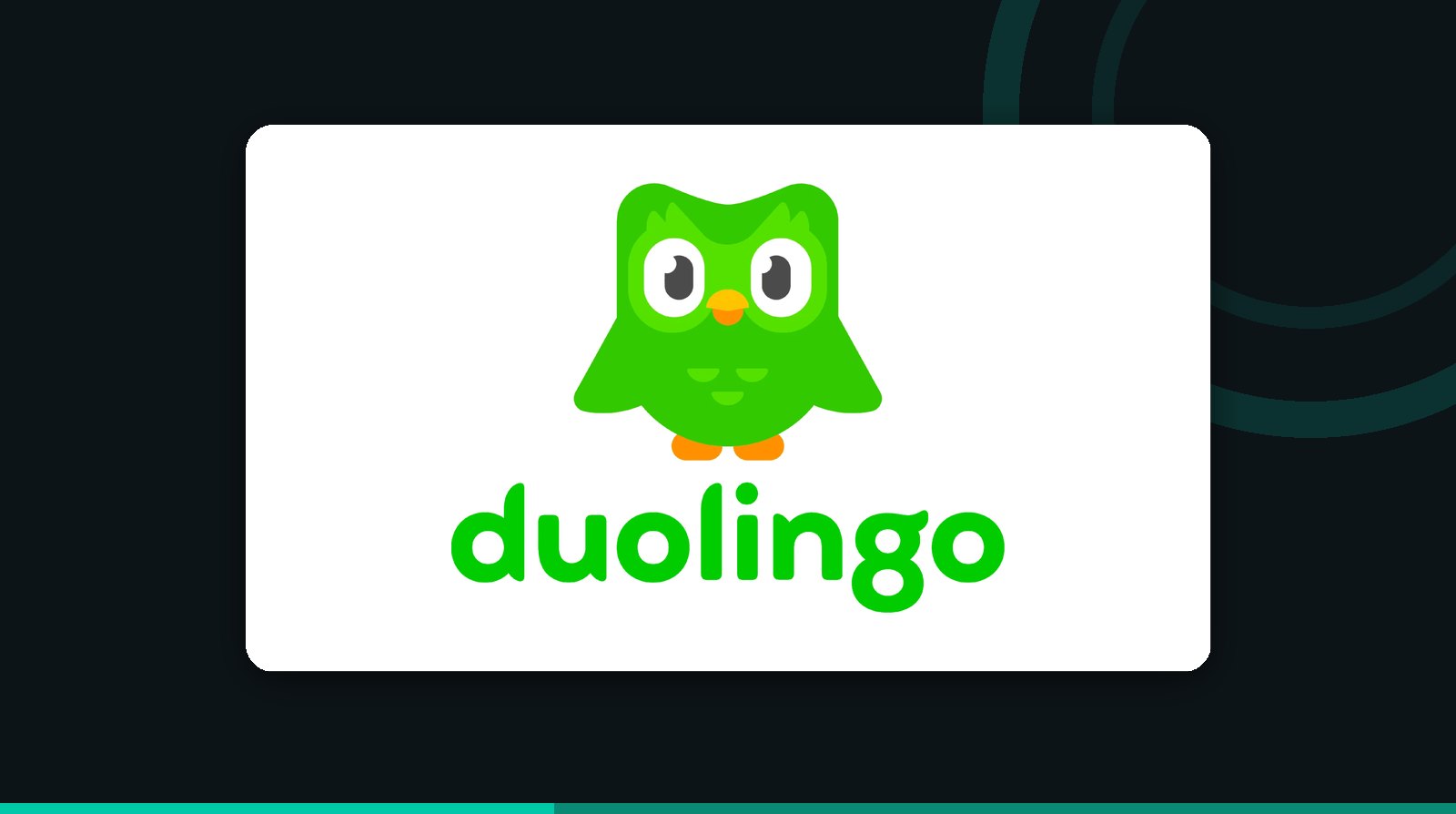 The Duolingo logo