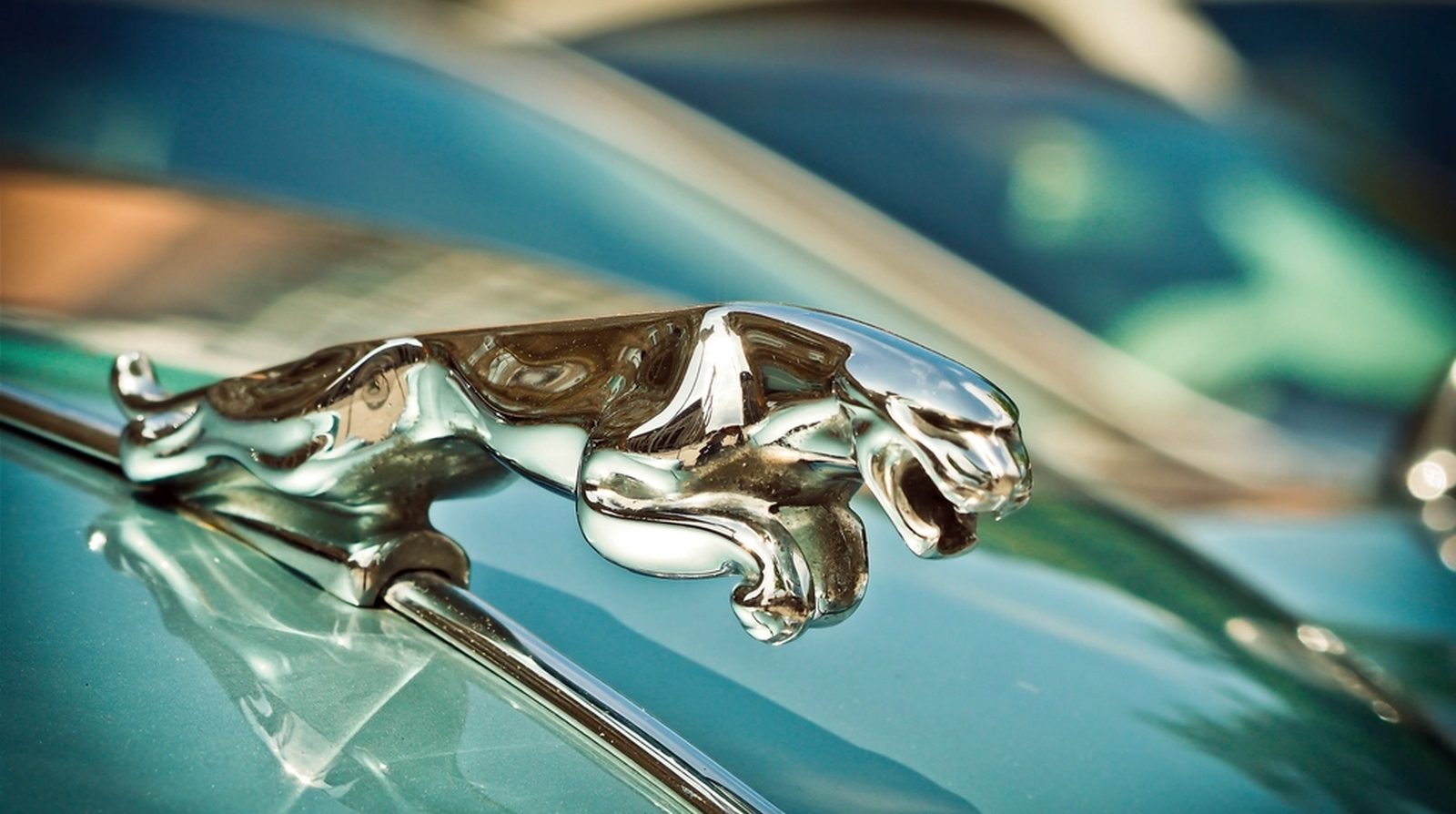 Biểu tượng báo nhảy trên nắp capo xe Jaguar